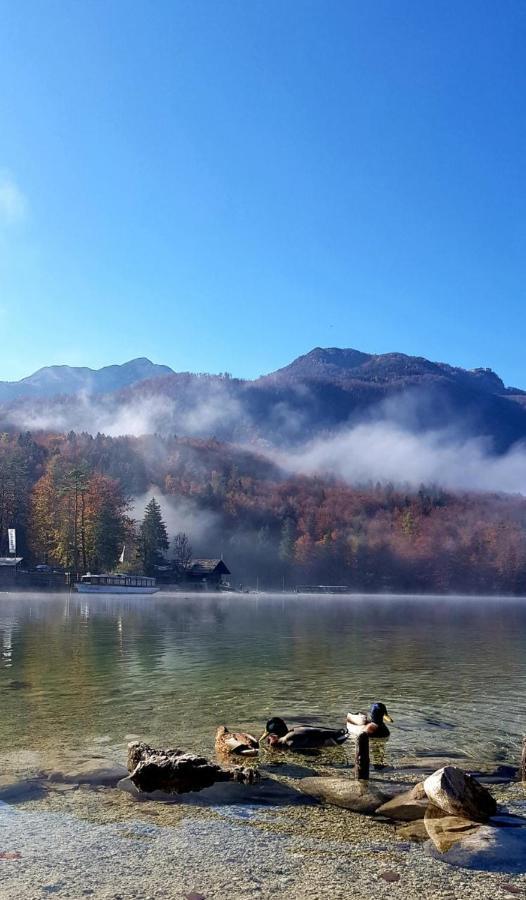 Apartments Bohinjc Екстериор снимка